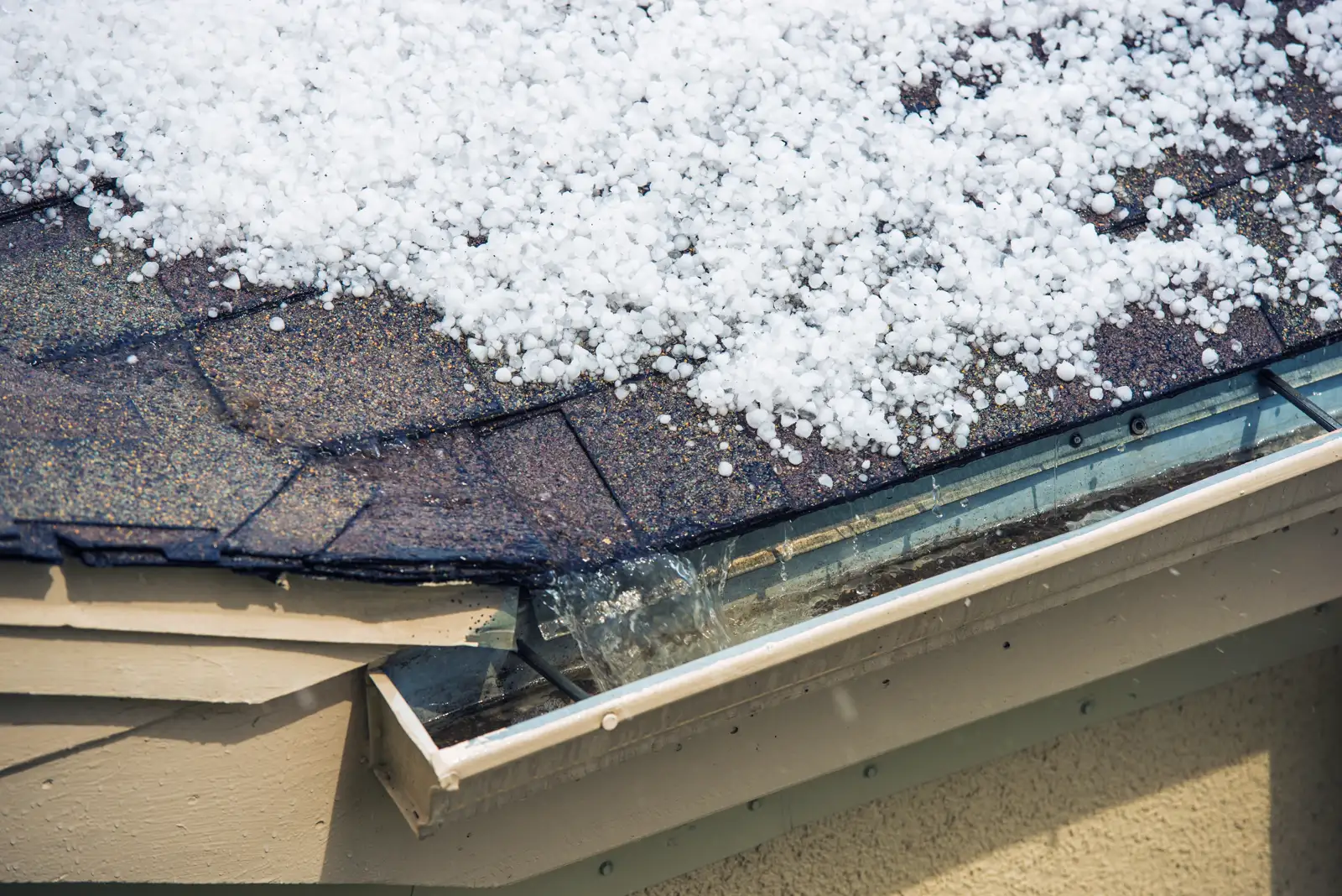 Roof repair service
