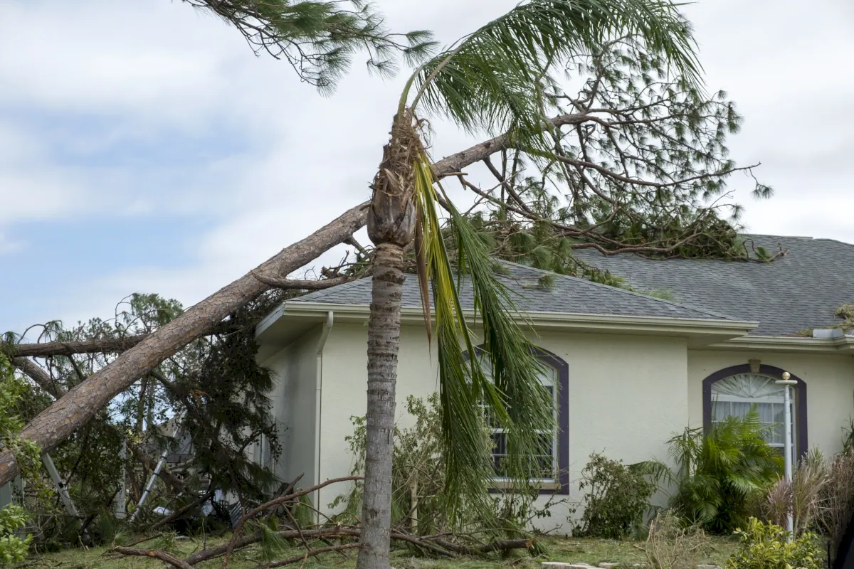 Roof repair service
